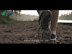 شنتشن CKD الدقة الميكانيكية والكهربائية المحدودة